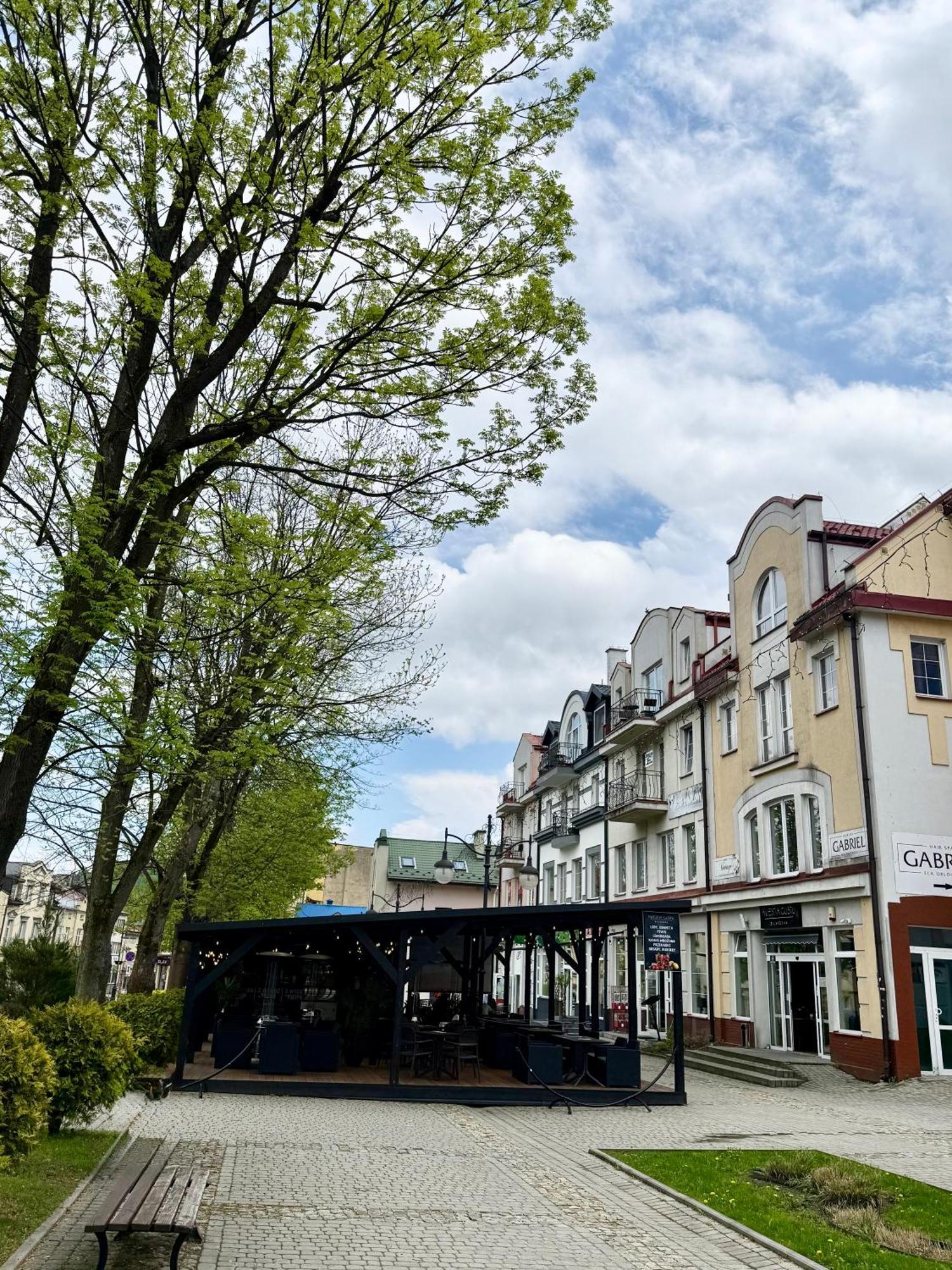 Apartament Dobre Miejsce 2 Ustrzyki Dolne Eksteriør billede